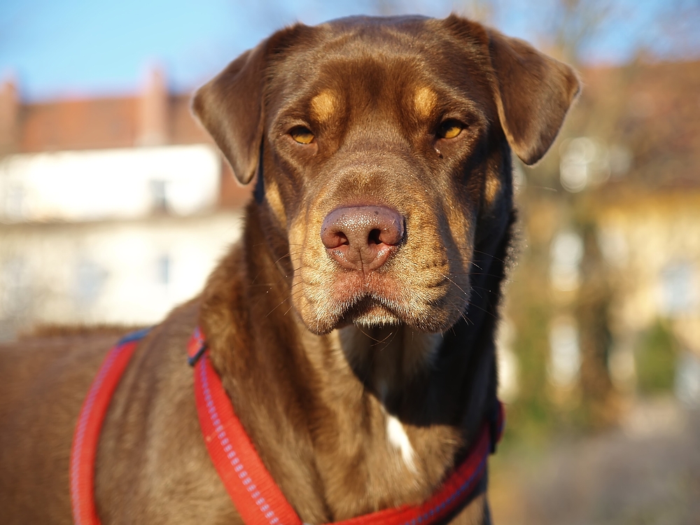 Nelly wartet auf ein Zuspiel!?