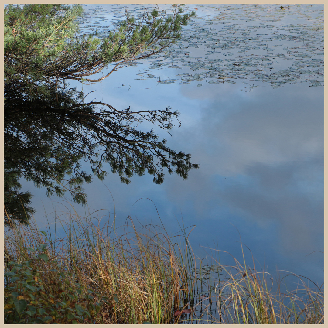 nellys moss lake 6 cragside