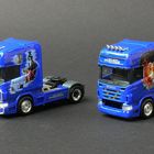 Nelo-Airbrush Truckmodelle von Herpa (7)