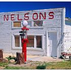 NELSON 2006