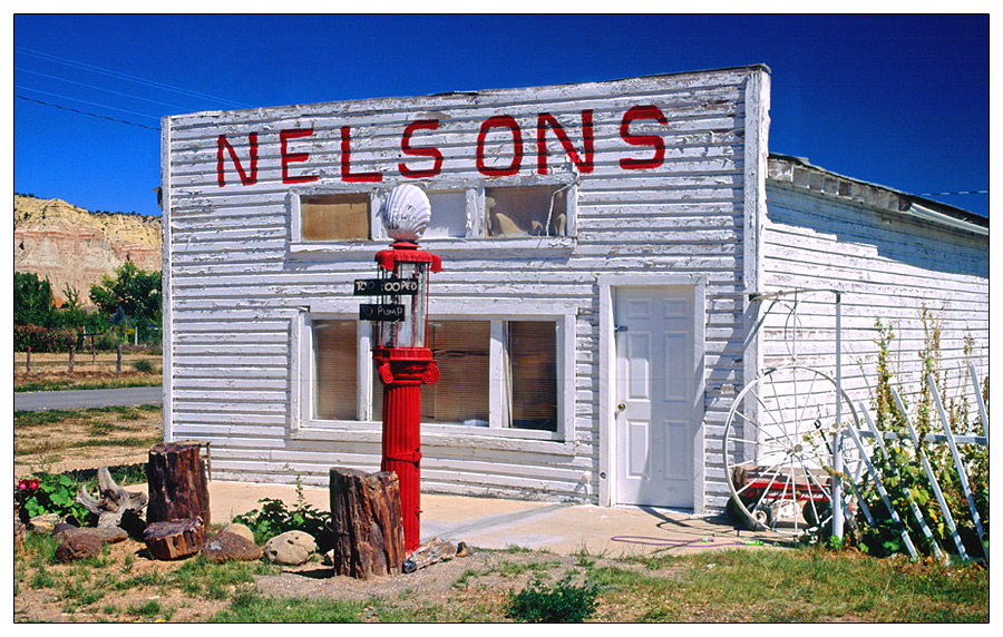 NELSON 2006