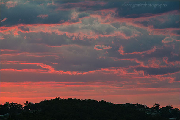 Nelson Bay 2