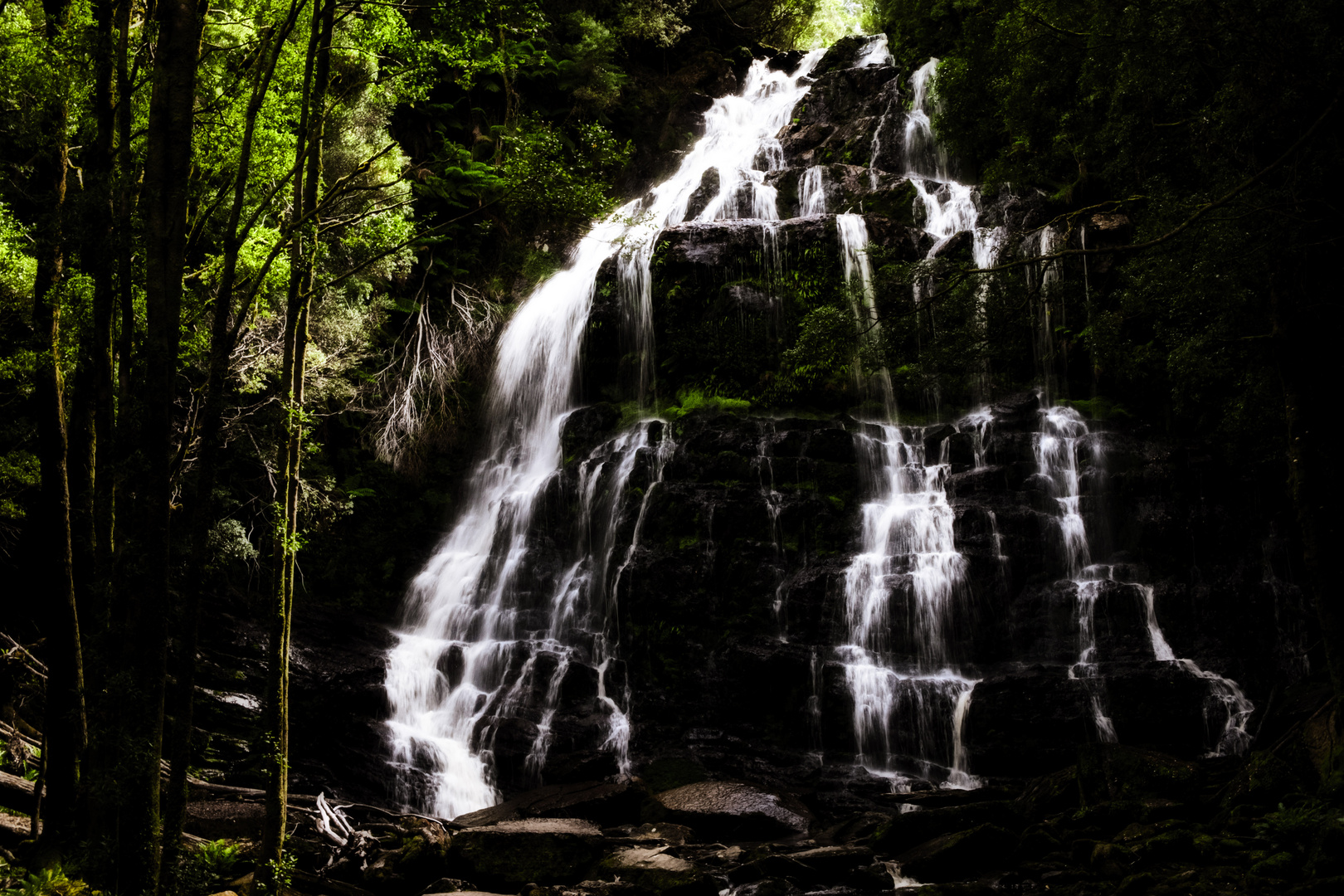 Nelson Falls Nature Trail 