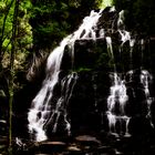 Nelson Falls Nature Trail 