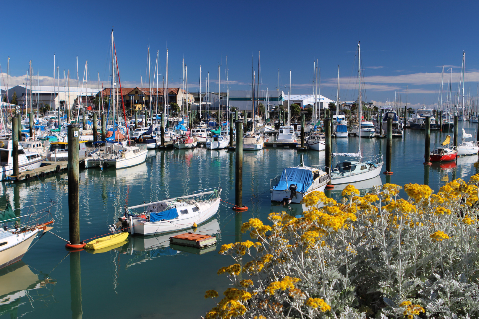 Nelson harbour, NZ