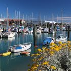 Nelson harbour, NZ