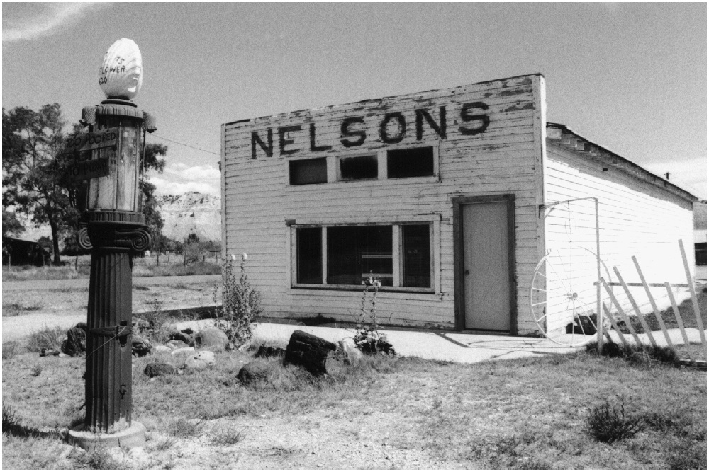 NELSONS 1996