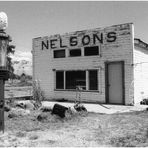 NELSONS 1996