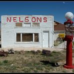 NELSONS 2006