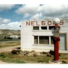 Nelsons