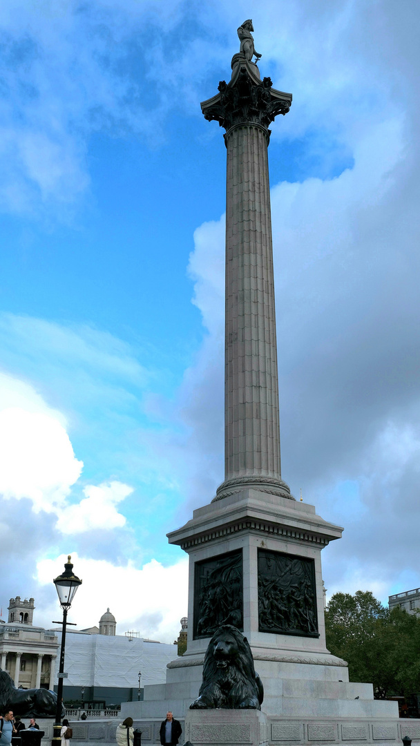 Nelson`s Column am Trafalgar Square