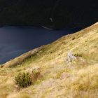 Nelsons Lake NP - St. Arnaud - Südalpen