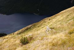 Nelsons Lake NP - St. Arnaud - Südalpen