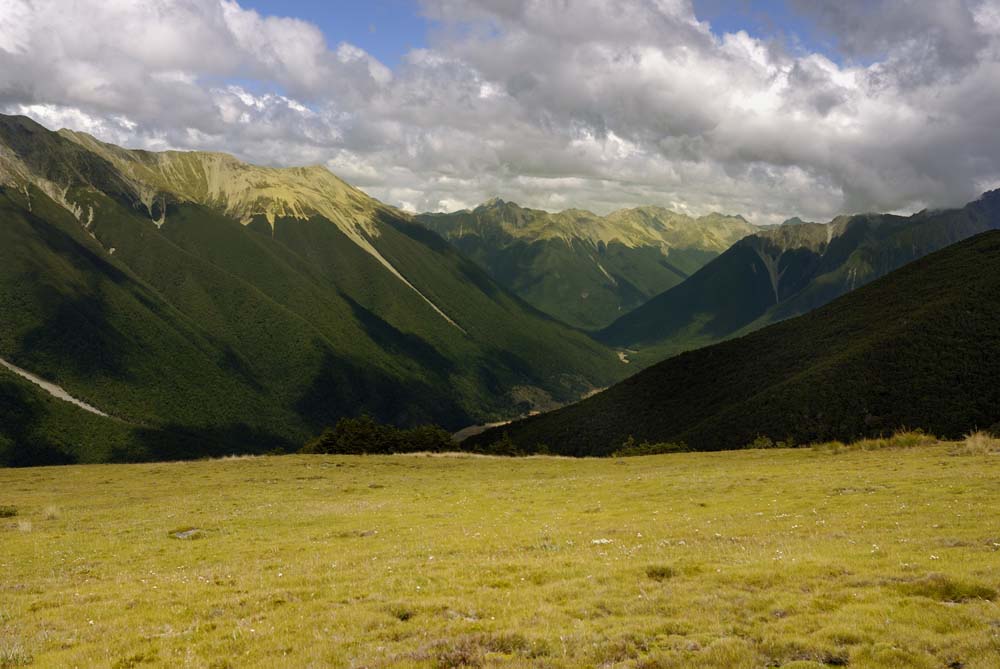 Nelsons Lake NP - St. Arnaud - Südalpenpanorama