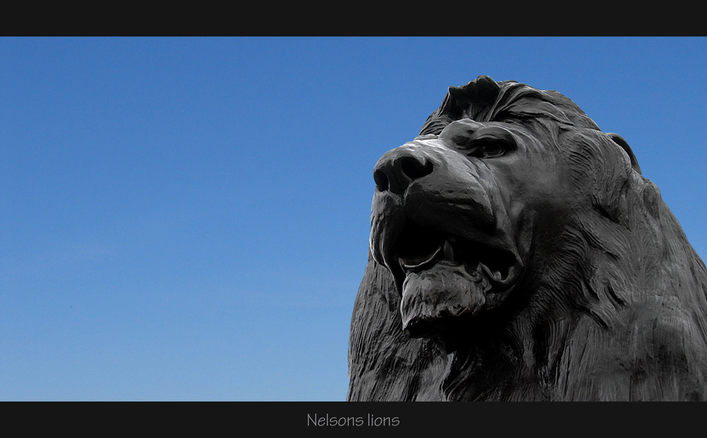 Nelsons Lions