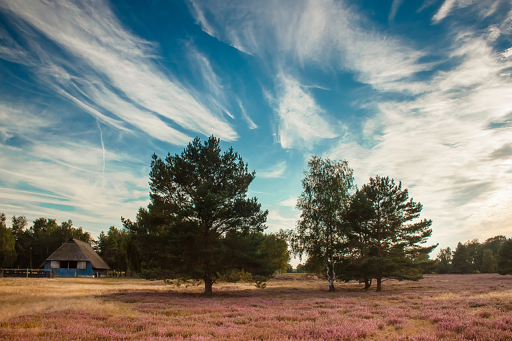 Nemitzer Heide 2