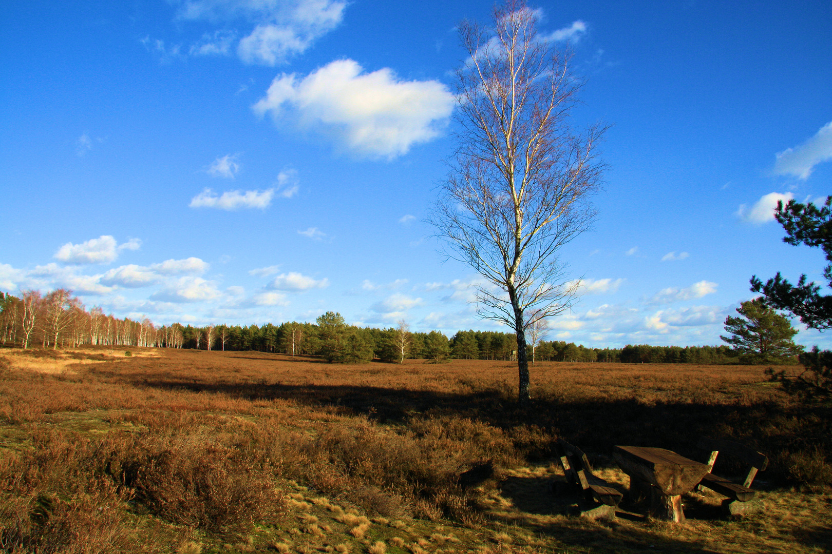 Nemitzer Heide