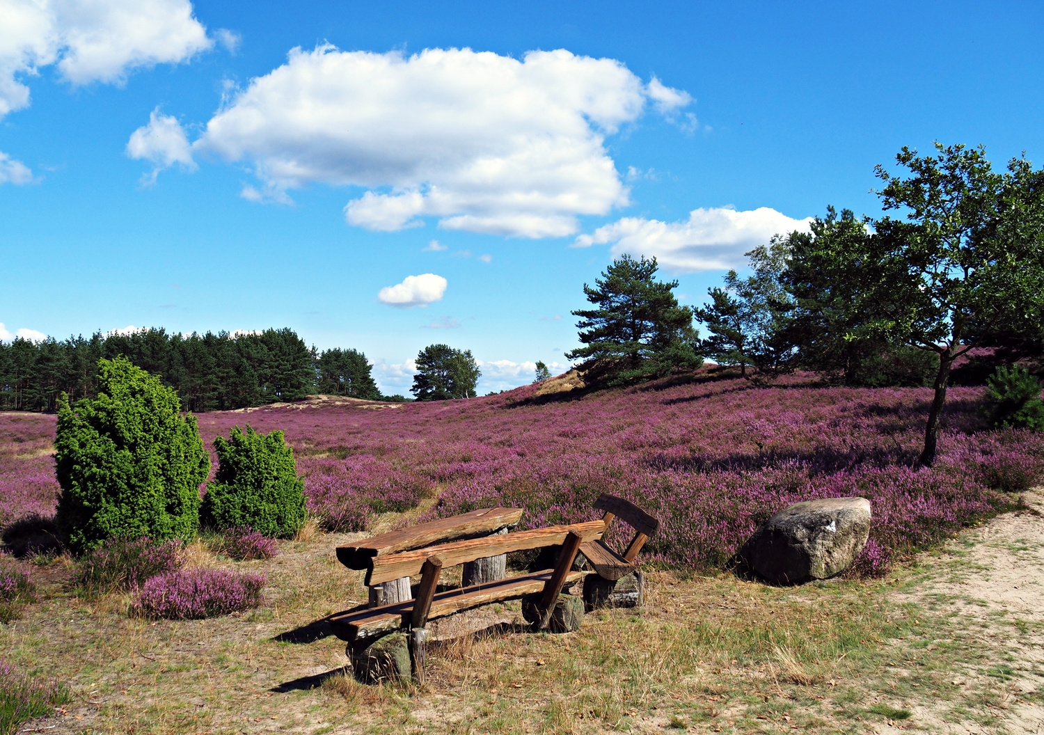 Nemitzer Heide