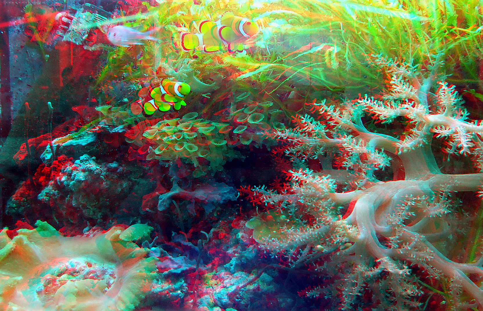 Nemo 3D (Ana u. Link zur MPO)