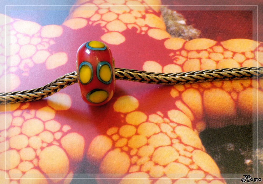 Nemo Bead