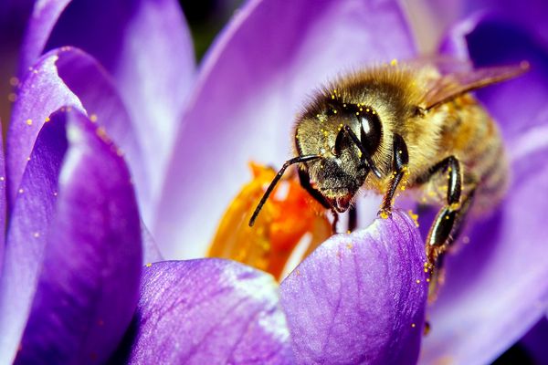 ´nen kleinen Moment Pause