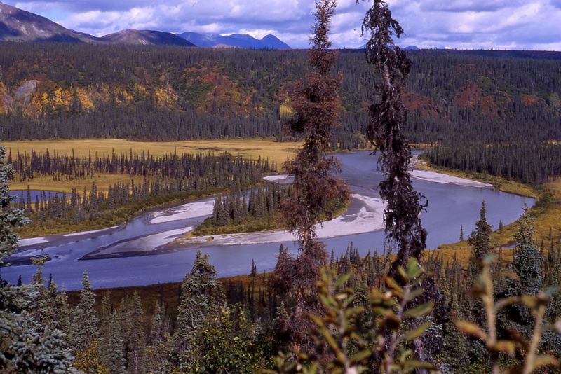 Nenana River, Alaska