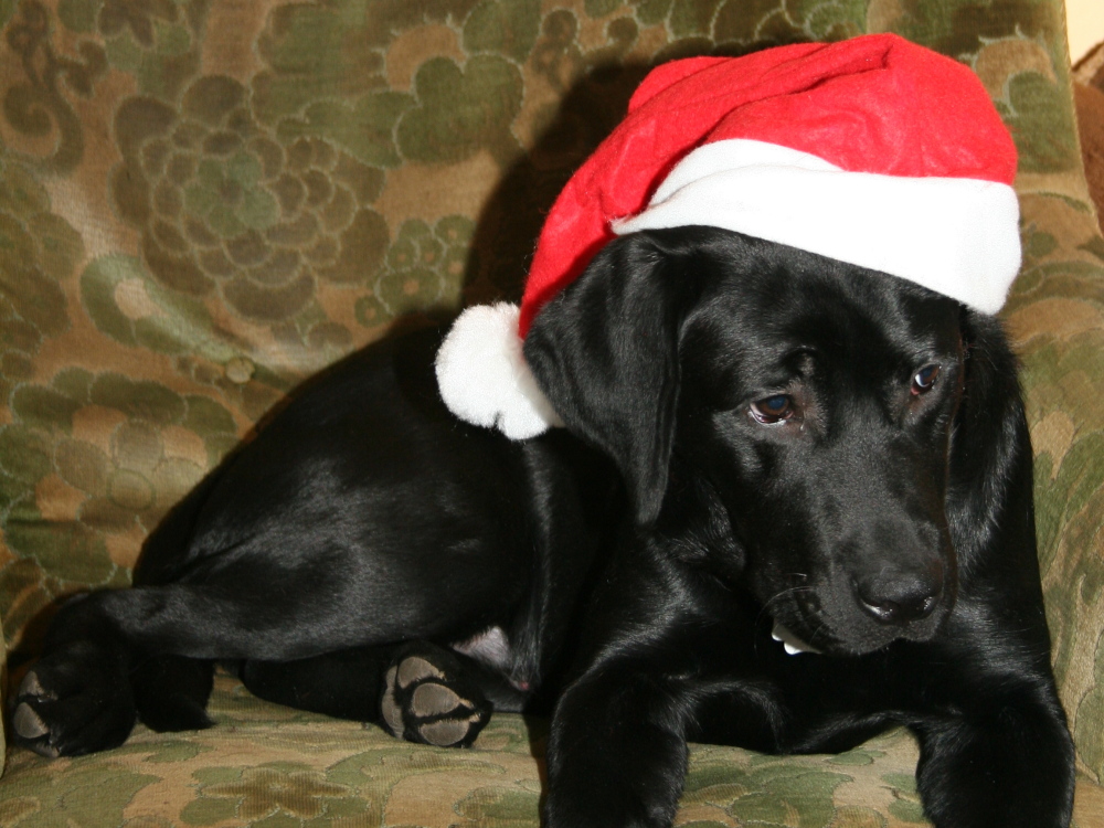 Nene, ich mach Euch nicht den Weihnachtsmann :-(