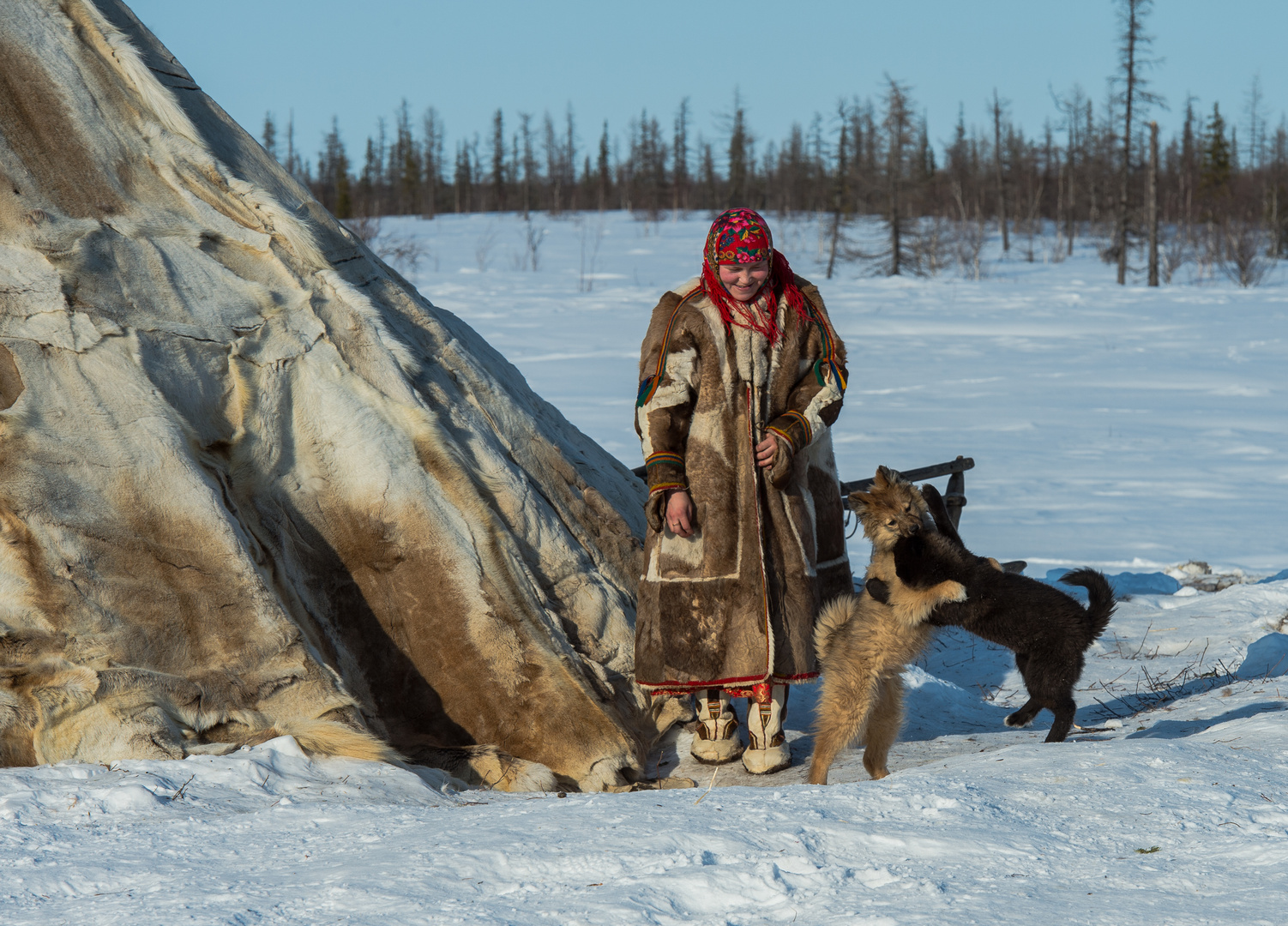 Nenets in Sibirien