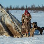 Nenets in Sibirien