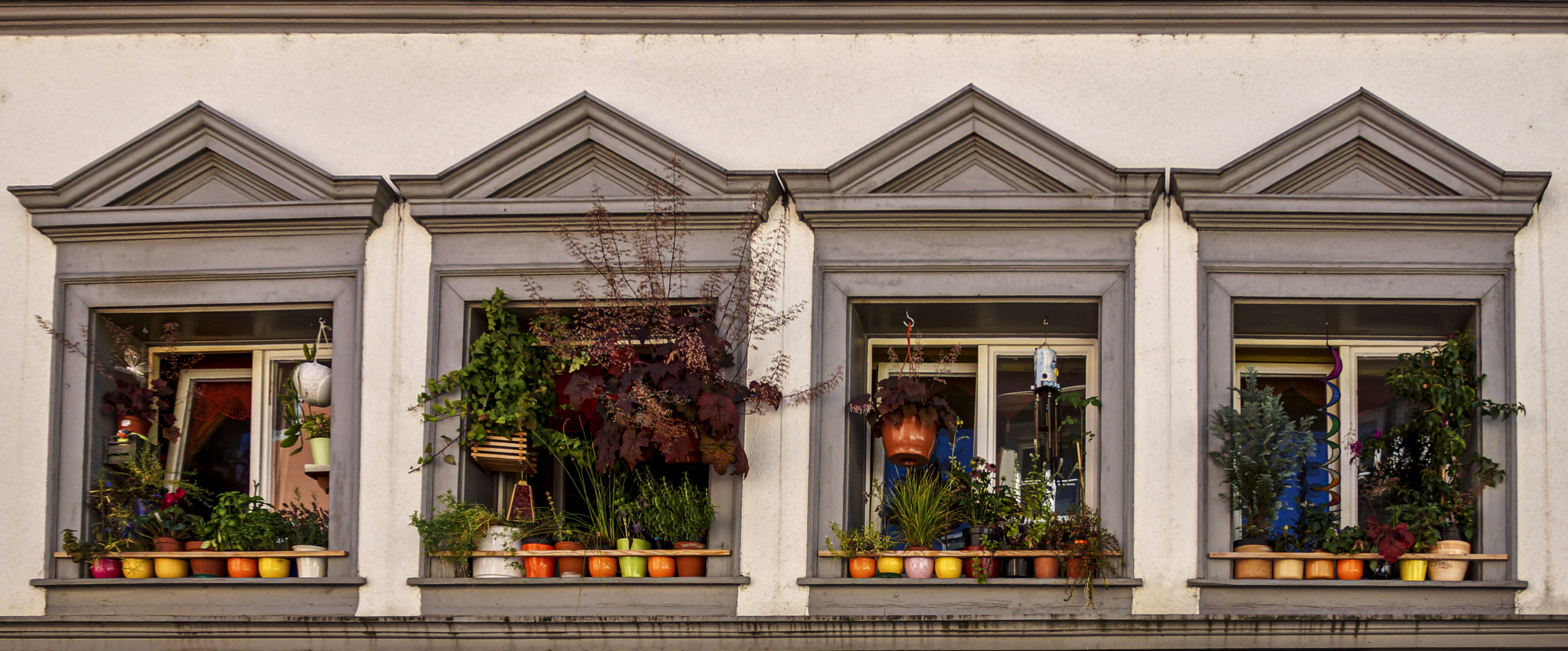 Neoklassizistische Fensterreihe