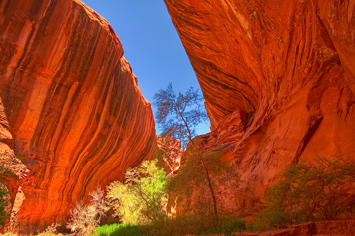 Neon Canyon Foto & Bild | north america, united states, utah Bilder auf