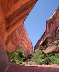 Neon canyon, HITR Rd