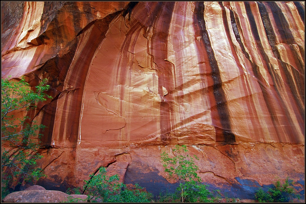 Neon Canyon II - the wall