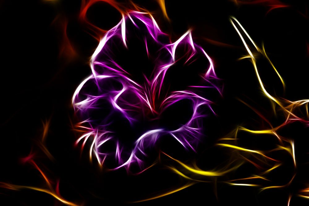 Neon Flower by Lampshade 