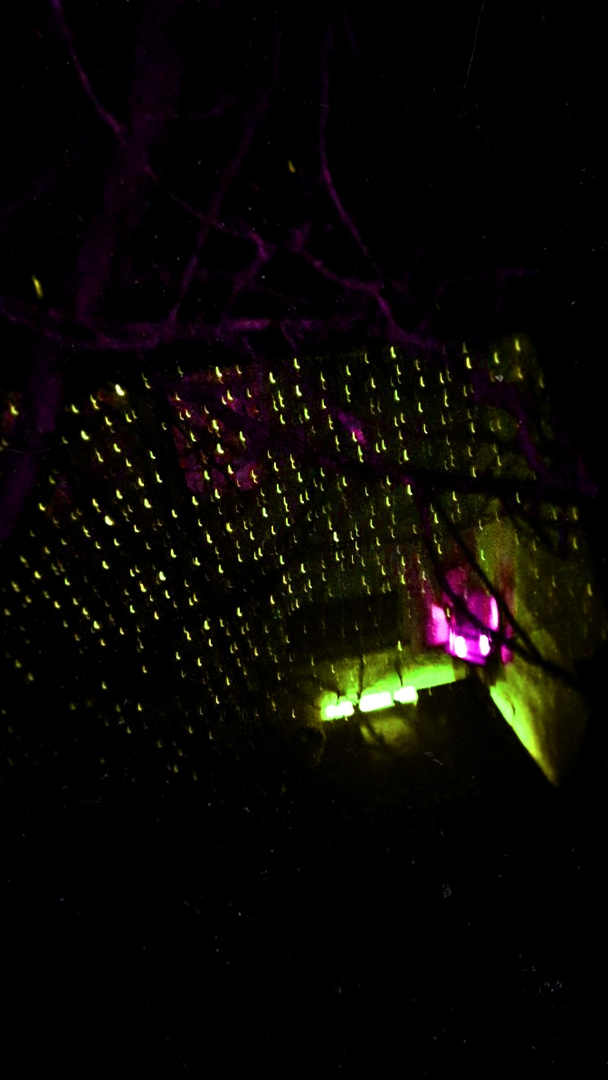 Neon matrix Foto & Bild | outdoor, neon, lights Bilder auf fotocommunity