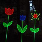 Neon-night Blumen