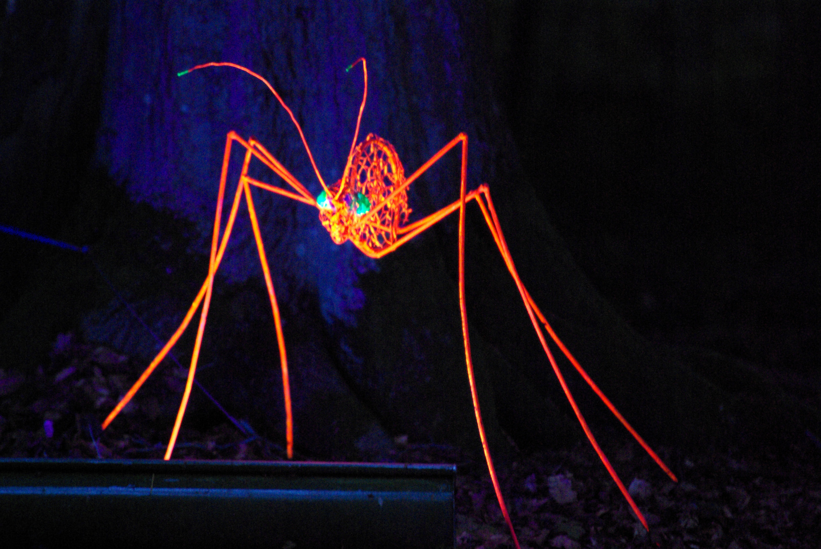 Neon-night-Spinne