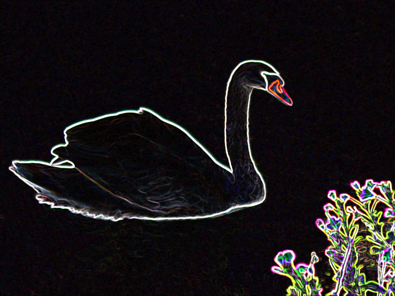 Neon Schwan von Birgit Laqua