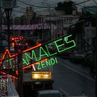 Neon Tamales