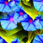 Neonblumen 1