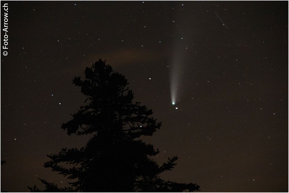 Neowiese und ein Meteor....