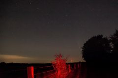 Neowise - 5