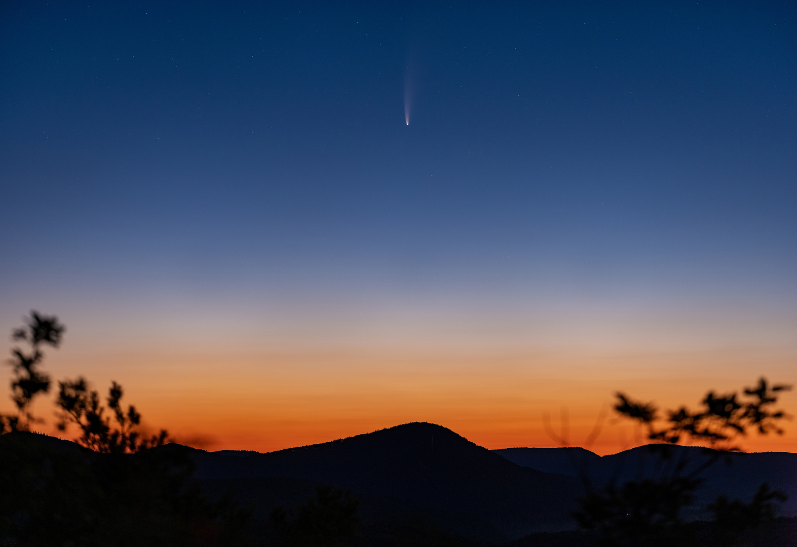 Neowise am Morgenhimmel