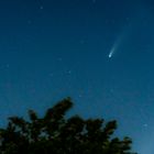 Neowise Comet