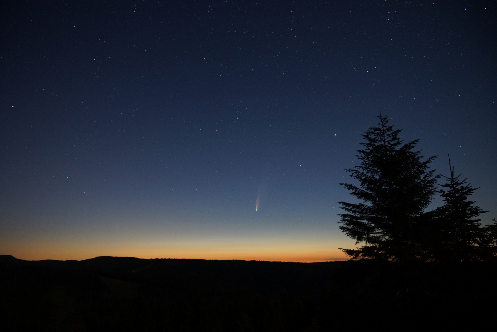 Neowise über dem Schwarzwald