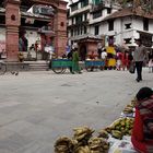 NEPAL 16 - PER STRADA / ON THE ROAD