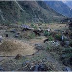 NEPAL 1992 - LAND DER BERGE - JOMSOM TREK - DHANA- BEGEGNUNGEN (24 08 )