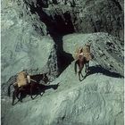 NEPAL 1992 - LAND DER BERGE - JOMSOM TREK - DHANA - GHAZA (27 02)