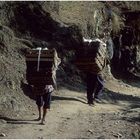 NEPAL 1992 - LAND DER BERGE - JOMSOM TREK -  KALOPANI - MARPHA - BEGEGNUNGEN (41 04)