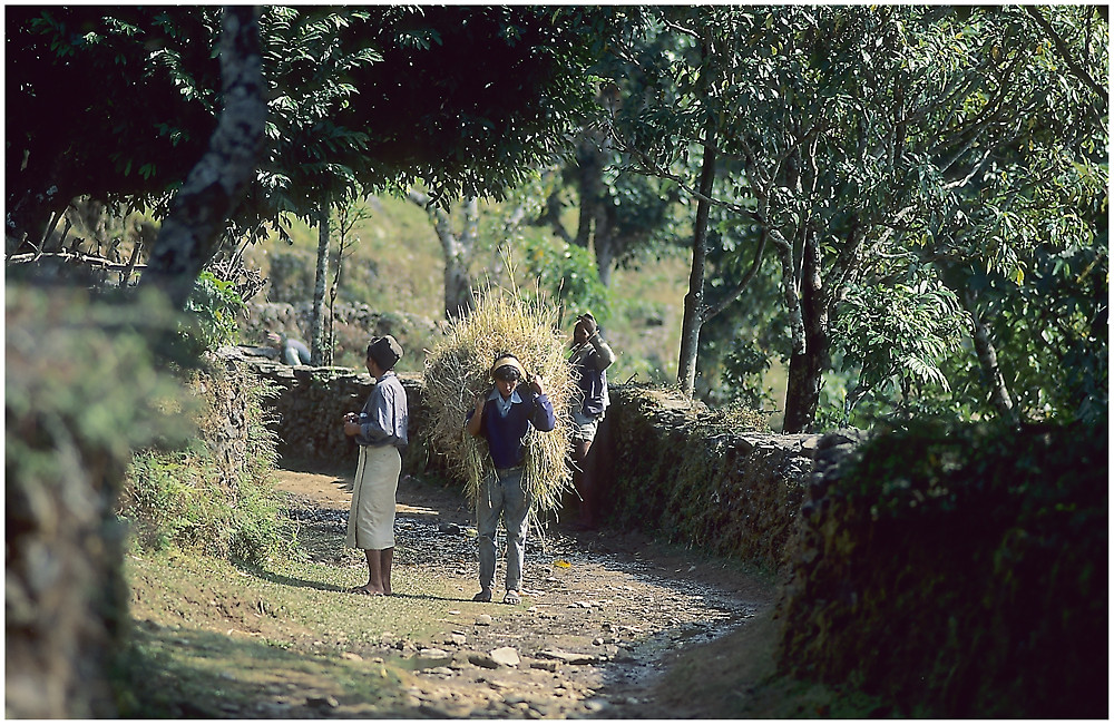 NEPAL 1992 - ZWISCHEN HIMMEL UND ERDE - JOMSOM-TREK - NAUDANDA - CHANDRAKOTH (05 32)